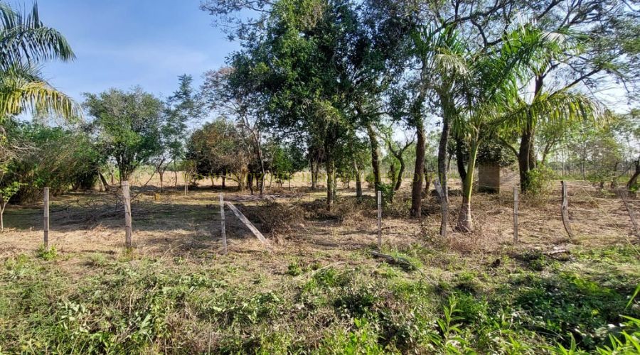 foto_10 Lotes juntos en Arroyos y Esteros