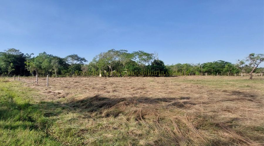 foto_10 Lotes juntos en Arroyos y Esteros