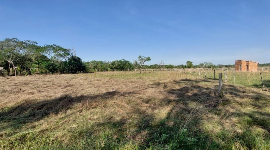 foto_10 Lotes juntos en Arroyos y Esteros